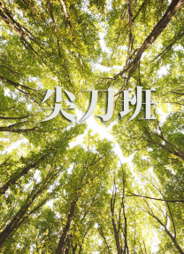 欧美日韩视频一区二区三区